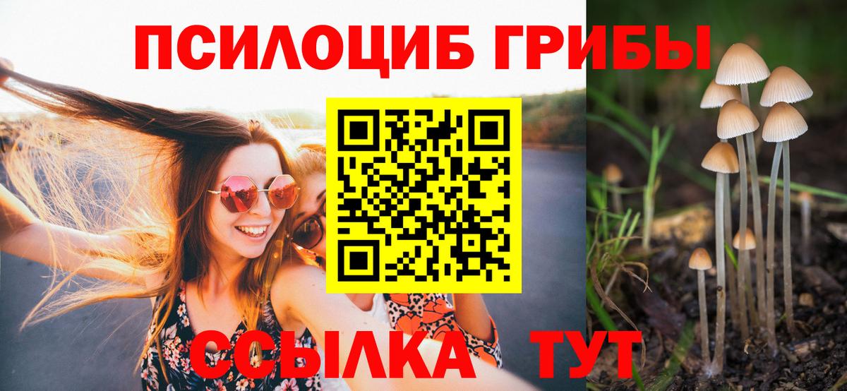 Галлюциногенные грибы GOLDEN TEACHER  Вход с VPN  купить наркотики цена  Барнаул 